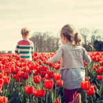 Vacances scolaires aux Pays-Bas 2025/2026