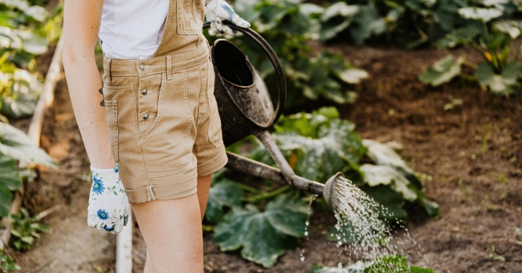12 termes à connaître pour vous lancer dans le jardinage