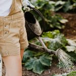 12 termes à connaître pour vous lancer dans le jardinage