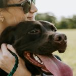 Nos animaux, ces héros: 5 livres qui les mettent à l’honneur