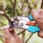 les travaux à entreprendre cet automne