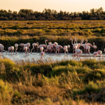 Où passer des vacances originales en famille en France ?