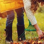 3 bonnes raisons de ne pas ramasser les feuilles au jardin