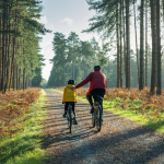 que prêter en plus du logement ?